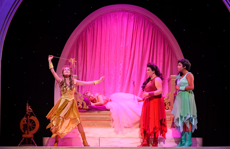 Doornroosje 25 26 promobeeld