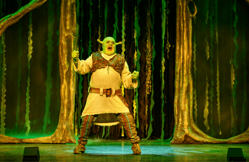 Shrek musical 12