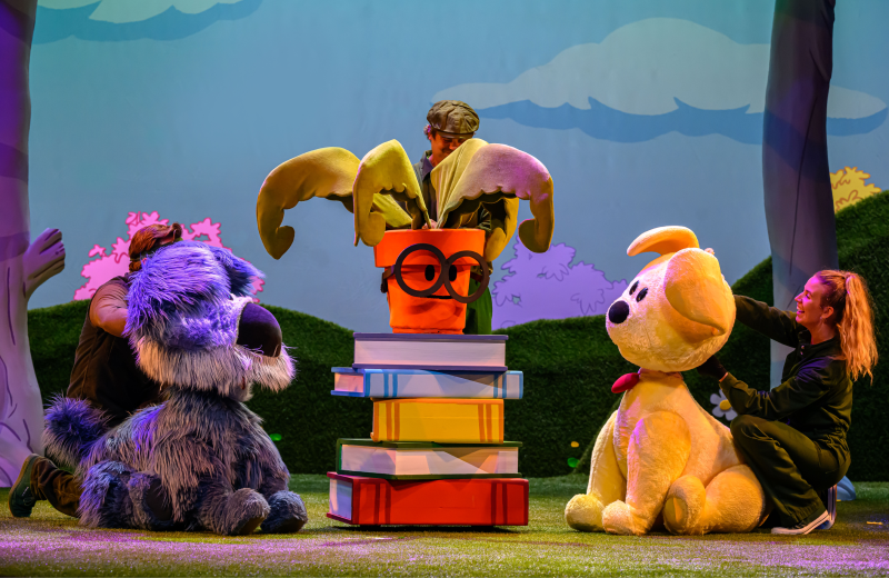 Woezel & Pip - Sinterklaasfeest in de Tovertuin